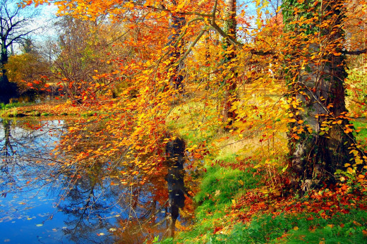 396559 (a): :2500x1662